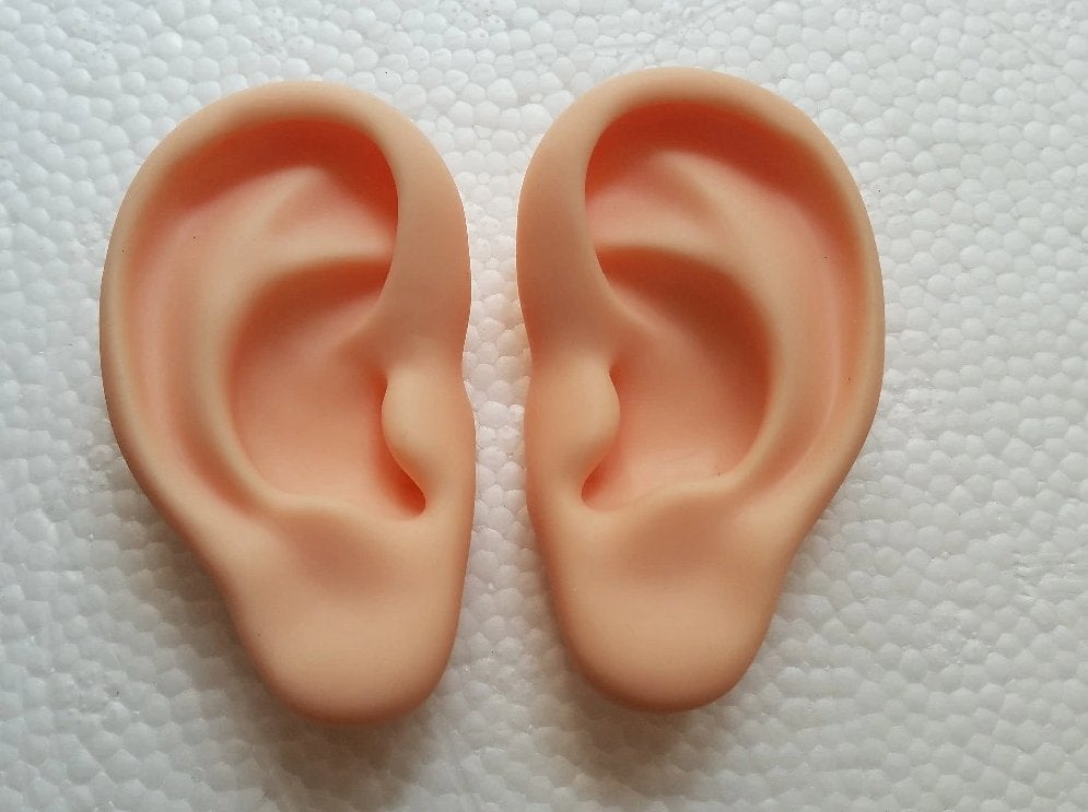 Siliconen Oren / Menselijk Model Oefenen Acupunctuur, Verzenden, Nieuw