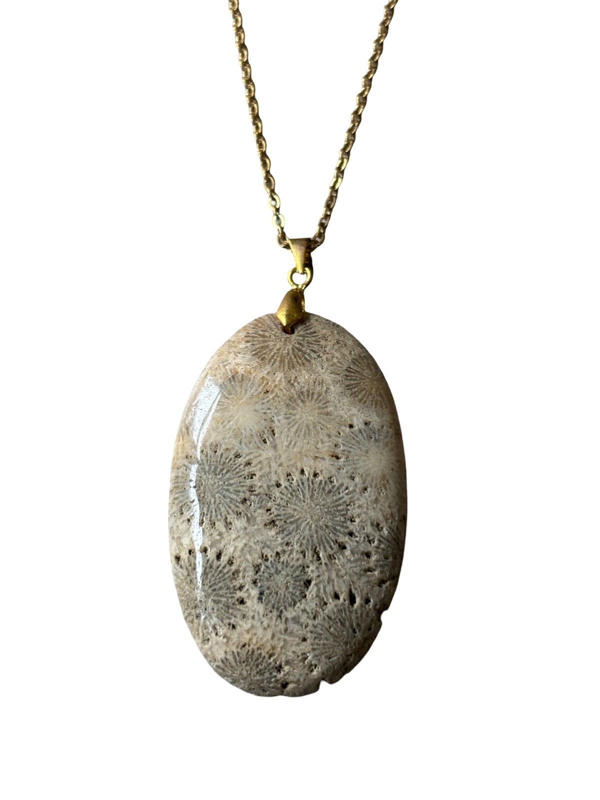 Fossielkoraal Ketting Roestvrijstaal Sieraden Handgemaakt, Met hanger, Vanbeeksaar4@gmail.com, Beige, Nieuw