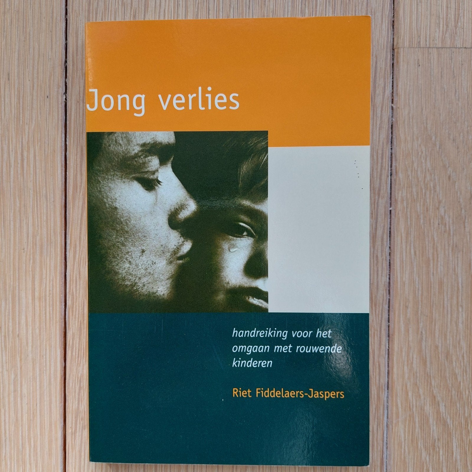 Riet Fiddelaers-Jaspers - Jong verlies, Ophalen, Sociale wetenschap, Riet Fiddelaers-Jaspers, Zo goed als nieuw