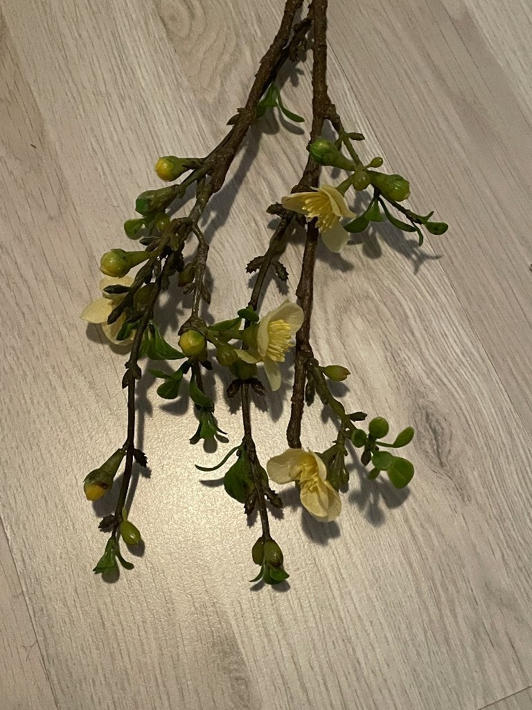 bloemen tak, Ophalen of Verzenden
