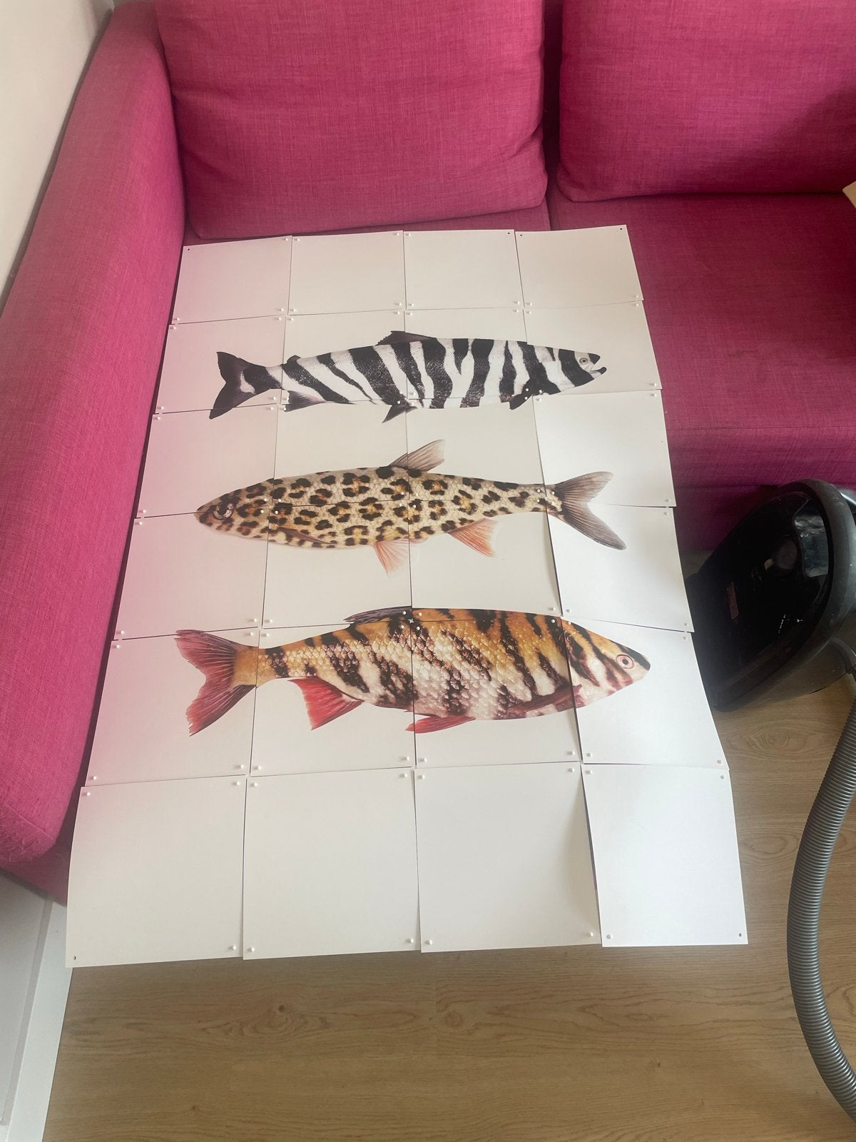 IXXI wanddecoratie vissen 80x120 cm (inclusief pinnetjes), Ophalen, Meerkleurig, Kunststof, Zo goed als nieuw