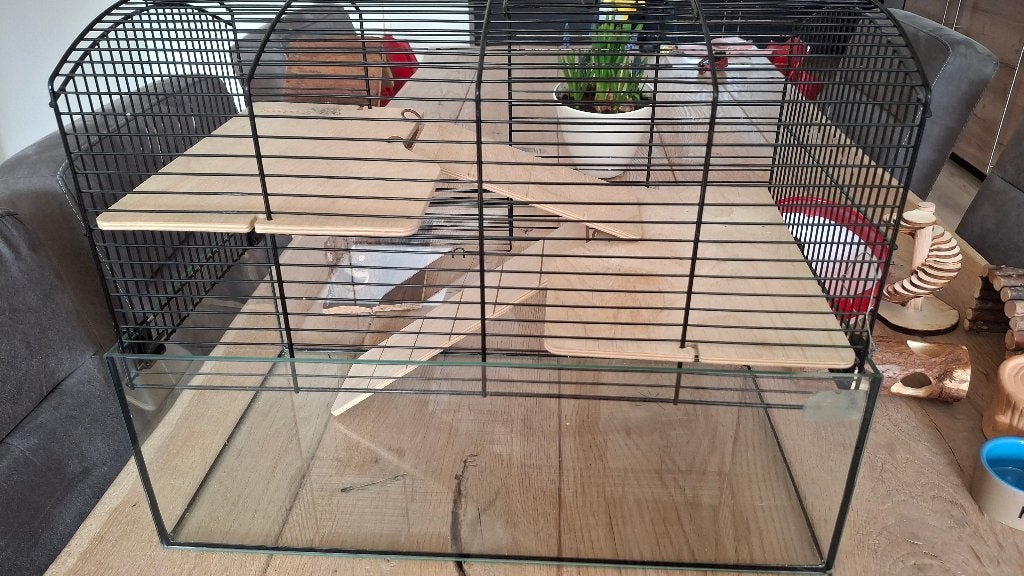 Glazen hamsterkooi compleet met veel accessoires, Dieren en Toebehoren, Knaagdieren en Konijnen | Hokken en Kooien, Kooi, Gebruikt