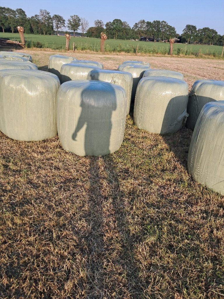 Hooibalen, Dieren en Toebehoren, Ophalen, Vee