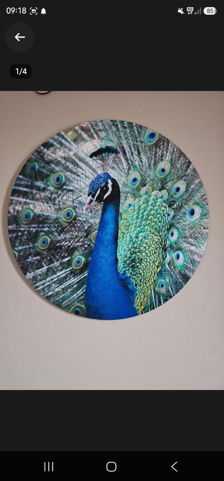 Prachtige Pauw Wanddecoratie - 70 cm Doorsnede, 50 – 75, Gebruikt, Ophalen of Verzenden, Print