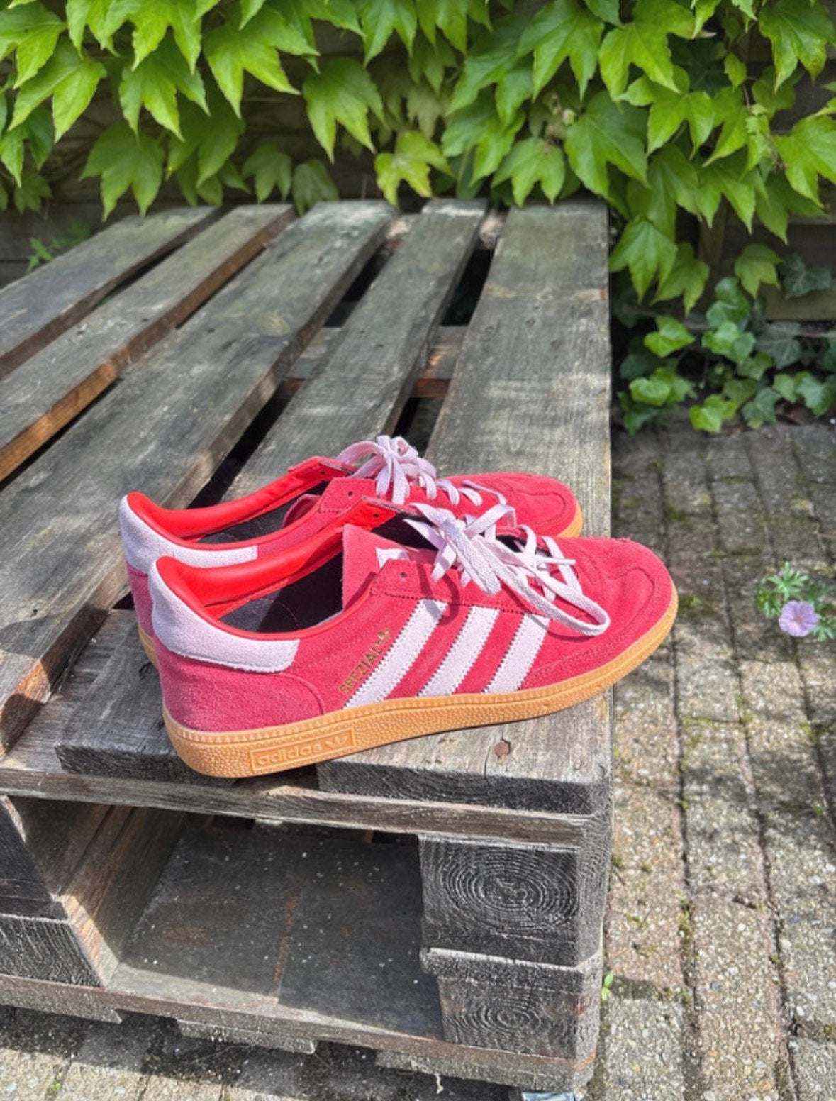 Adidas spezial roze rood lichtroze, Ophalen of Verzenden, Roze, Sneakers of Gympen, Zo goed als nieuw