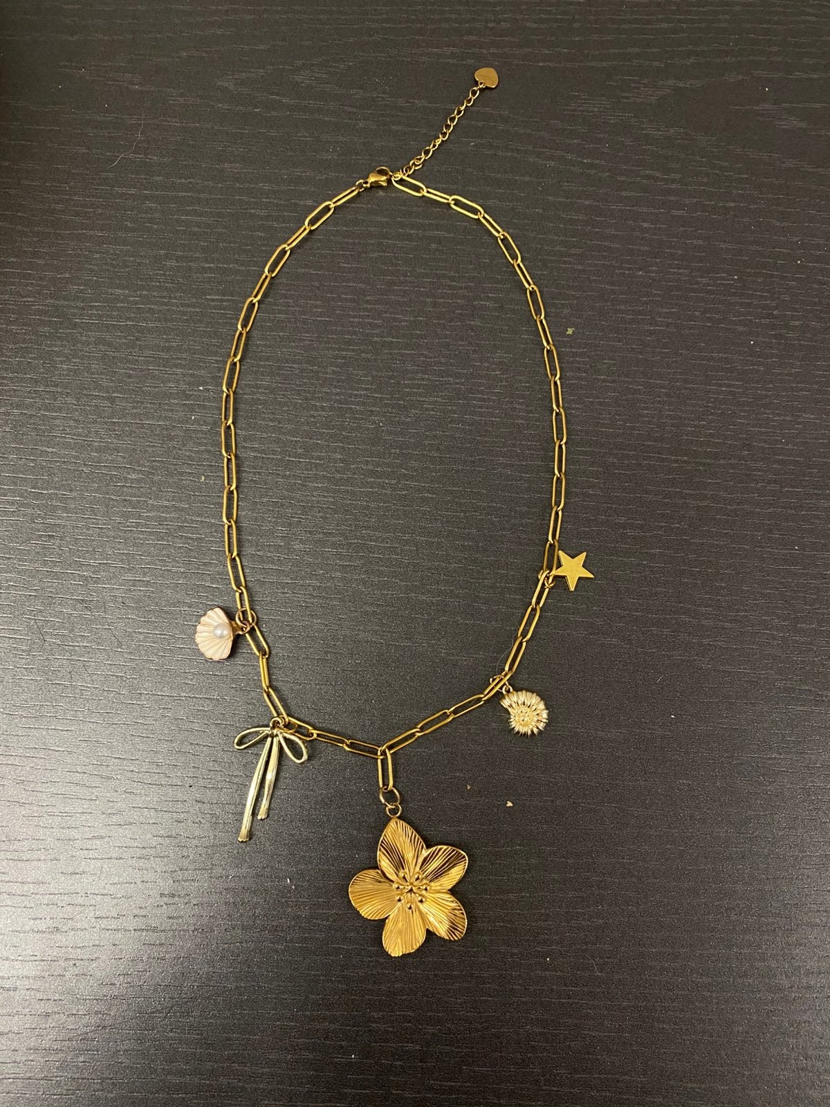 Bedelketting stainless steel, Met hanger, Overige materialen, Verzenden, Nieuw