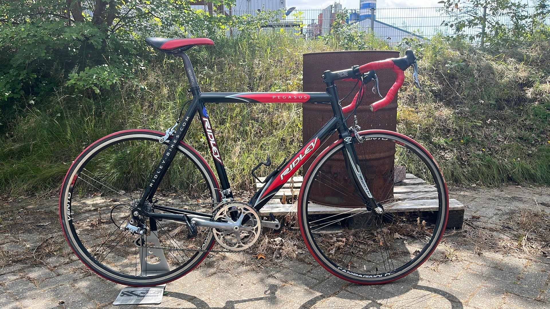 Ridley Pegasus maat 60cm met Campagnolo, 28 inch, Velgrem, Zo goed als nieuw, 57 tot 61 cm