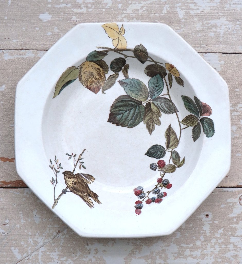Antiek Engels bord Wedgwood ” Vogel & bramentak”, Ophalen of Verzenden