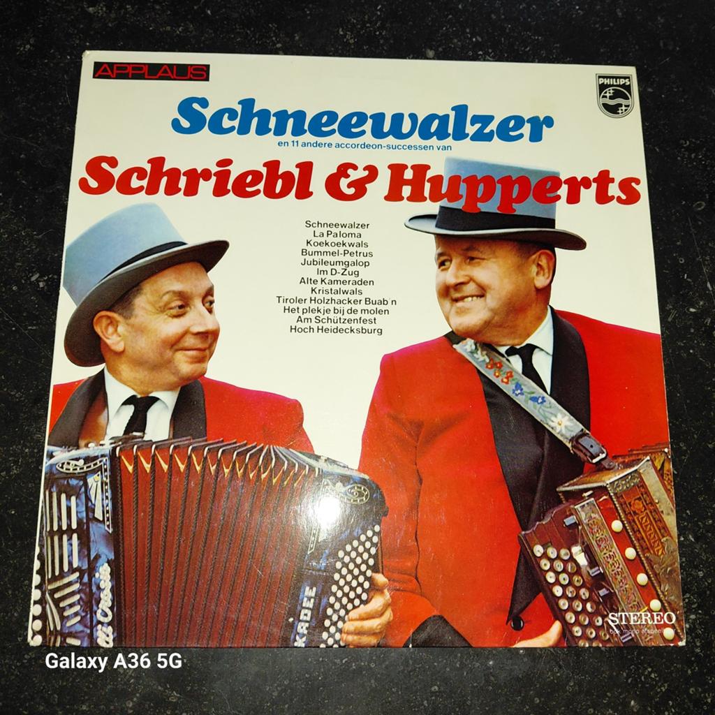 Schneewalzer - Schriebl & Hupperts (LP, Accordion), Ophalen of Verzenden, Gebruikt, 12 inch, Streekmuziek