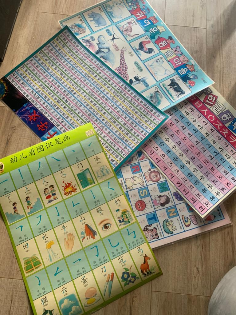 Taal posters chinees koreaans leren taallessen, Ophalen of Verzenden, Alpha, Zo goed als nieuw