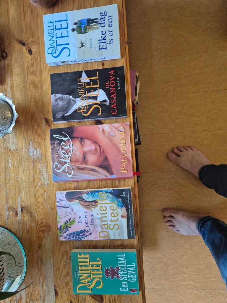 5 stuks Danielle Steel, Alle leeftijden, Ophalen of Verzenden, Zo goed als nieuw