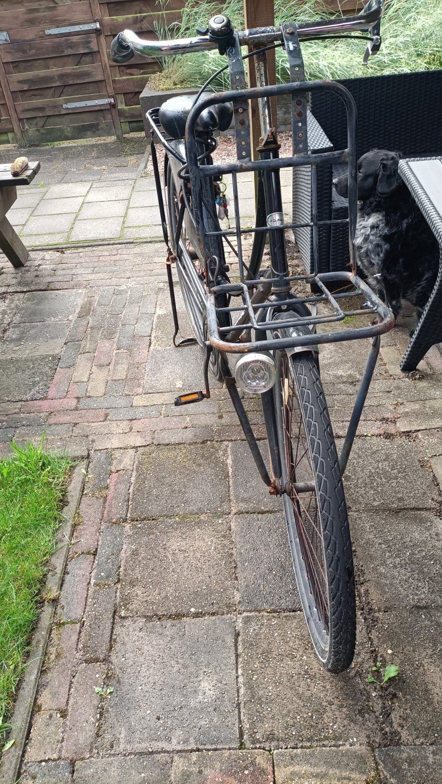 popal opoe fiets, Fietsen en Brommers, Fietsen | Dames | Damesfietsen, Ophalen, Gebruikt, Velgrem, Overige merken