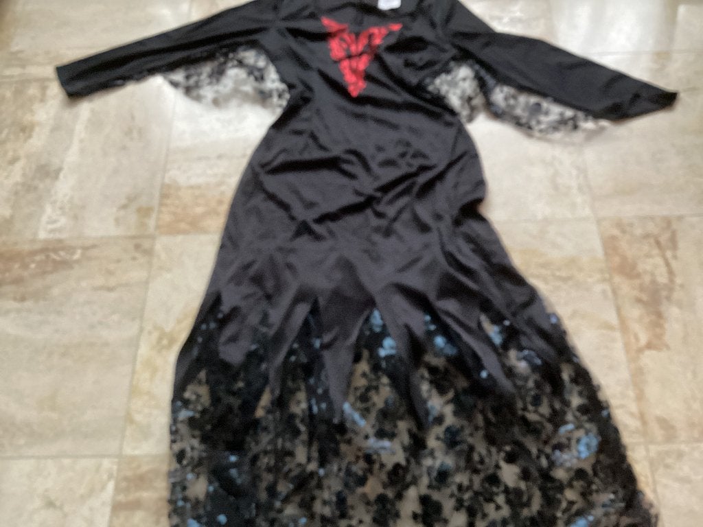 Halloween jurk / zwart met kant/ Carnaval, Kleding | Dames, Maat 38/40 (M), Nieuw, Ophalen of Verzenden, Halloween