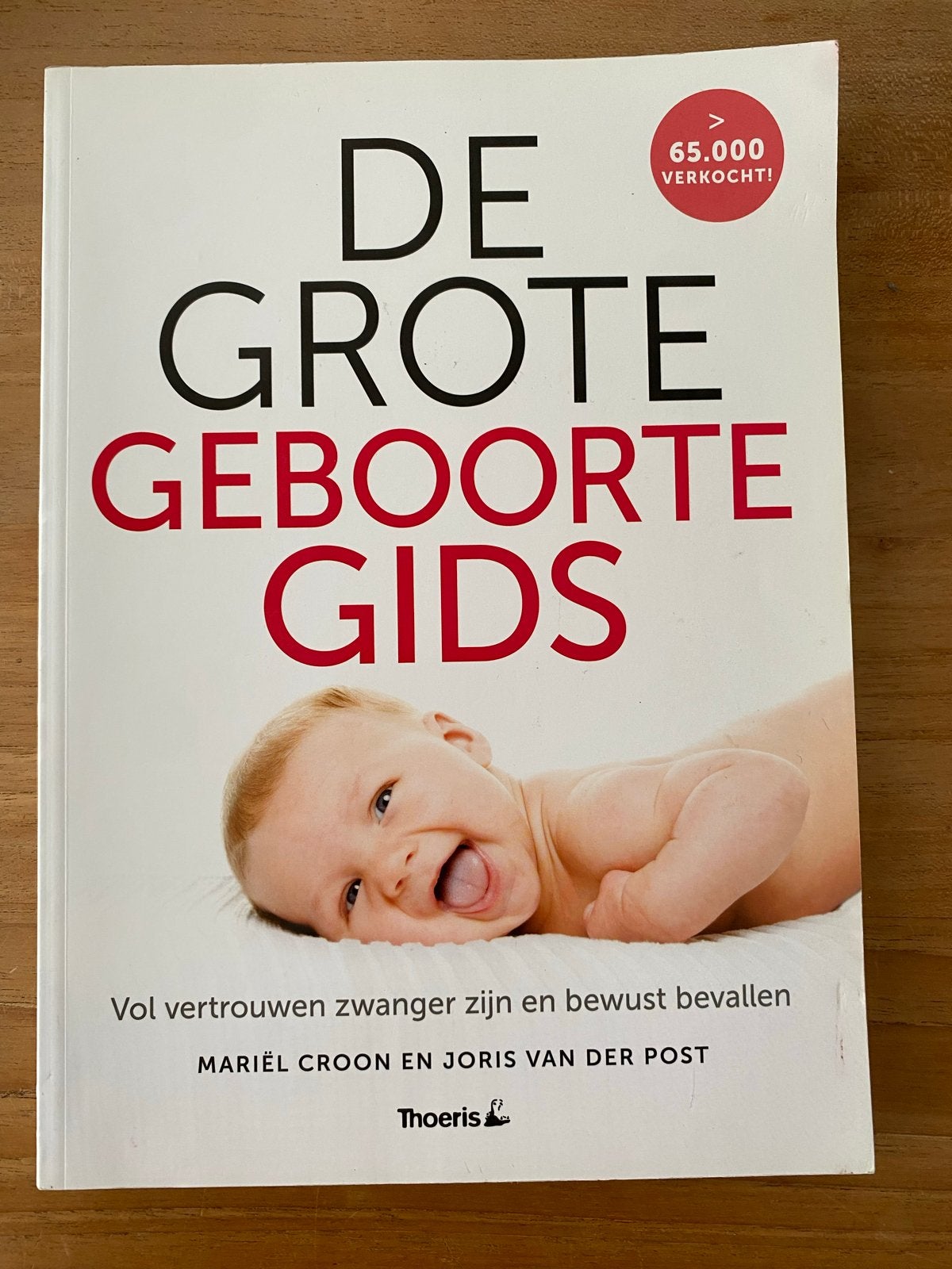 De Grote Geboorte Gids, Boeken, Ophalen of Verzenden, Gelezen, Zwangerschap en Bevalling