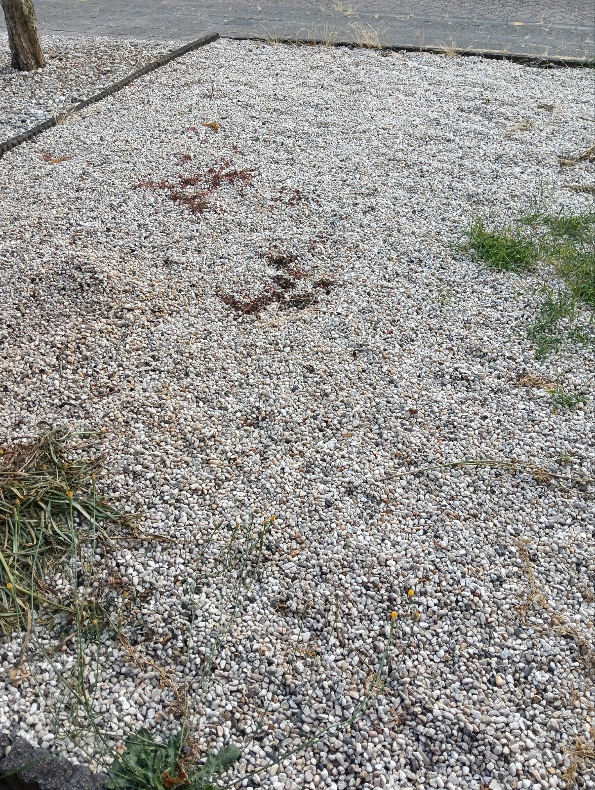 Gratis grind ophalen, Tuin en Terras, Ophalen, Gebruikt