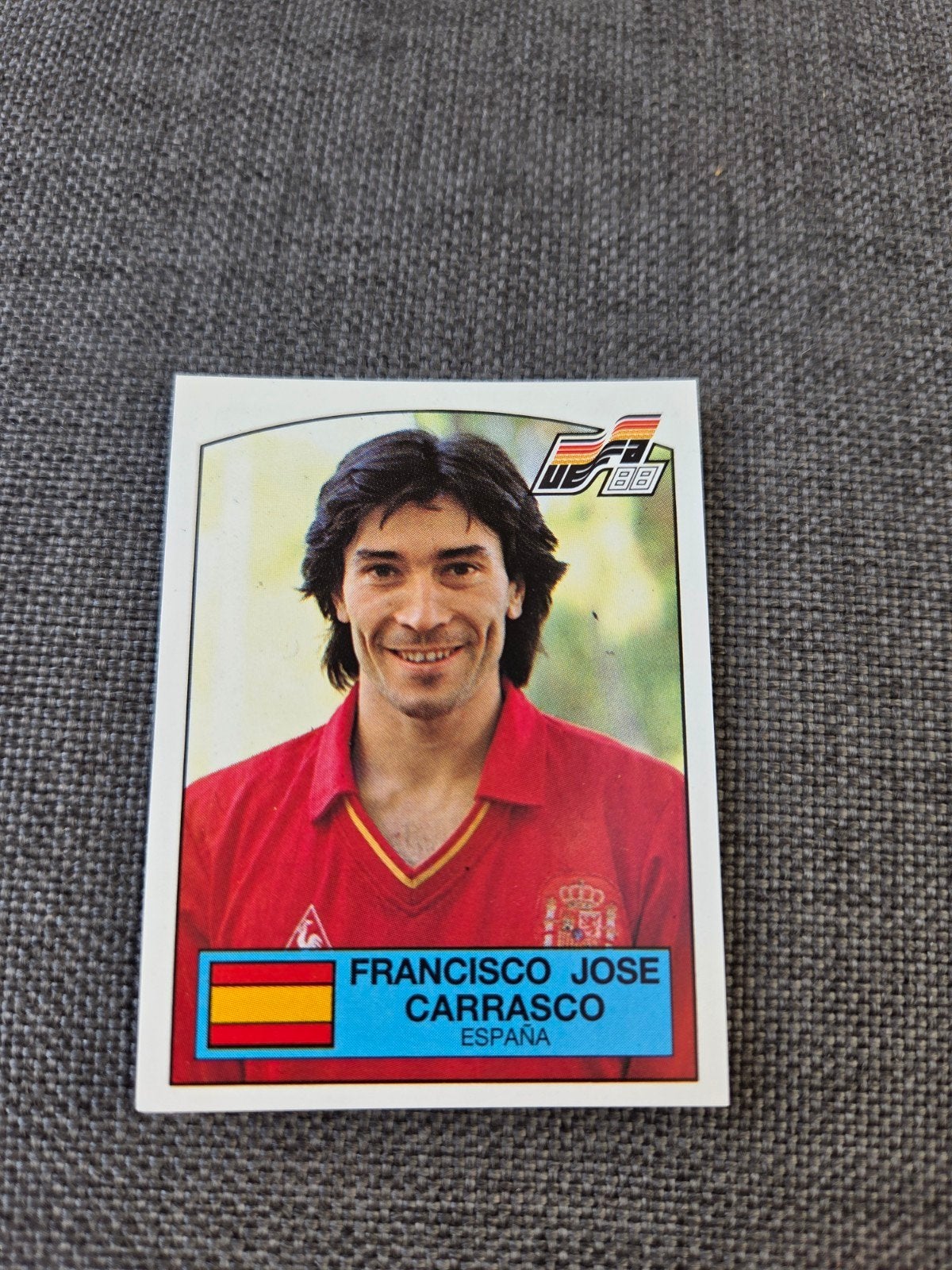 Panini EK 88, Ophalen of Verzenden, Zo goed als nieuw, Sticker