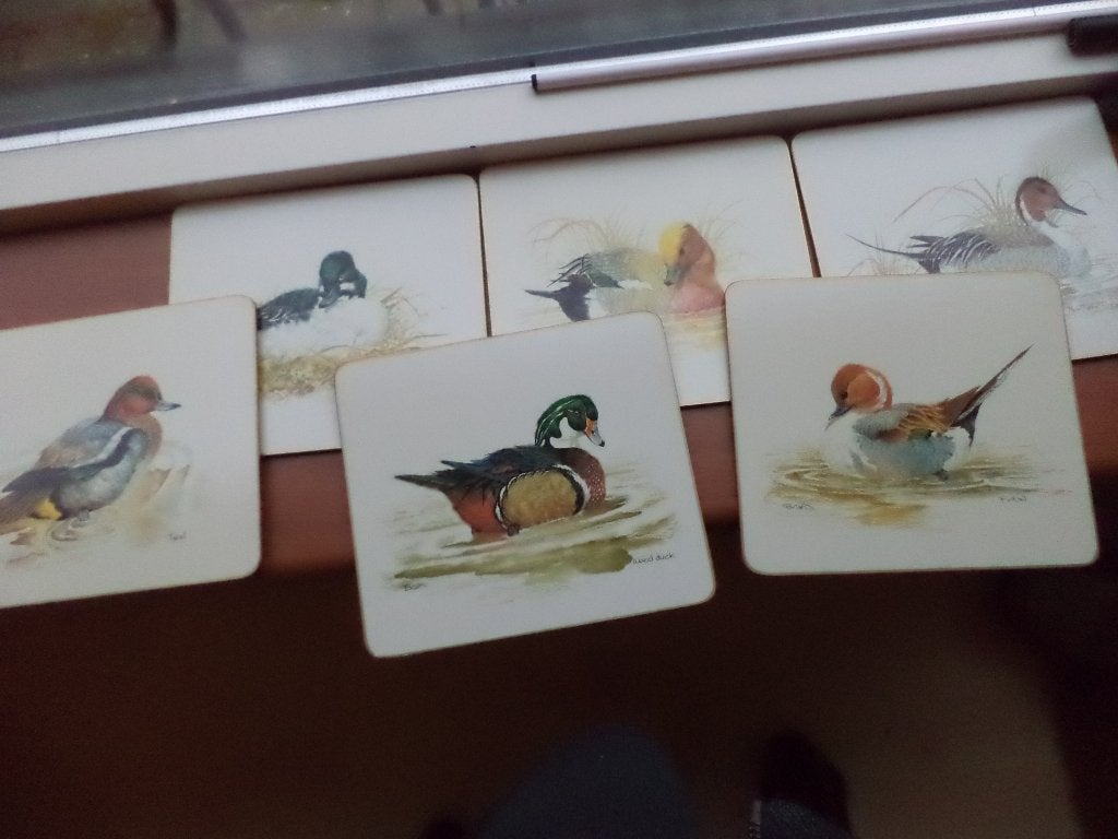 Zes Table Mats, Place Mats, Clover Leaf: Ducks (Eenden), Ophalen of Verzenden, Zo goed als nieuw