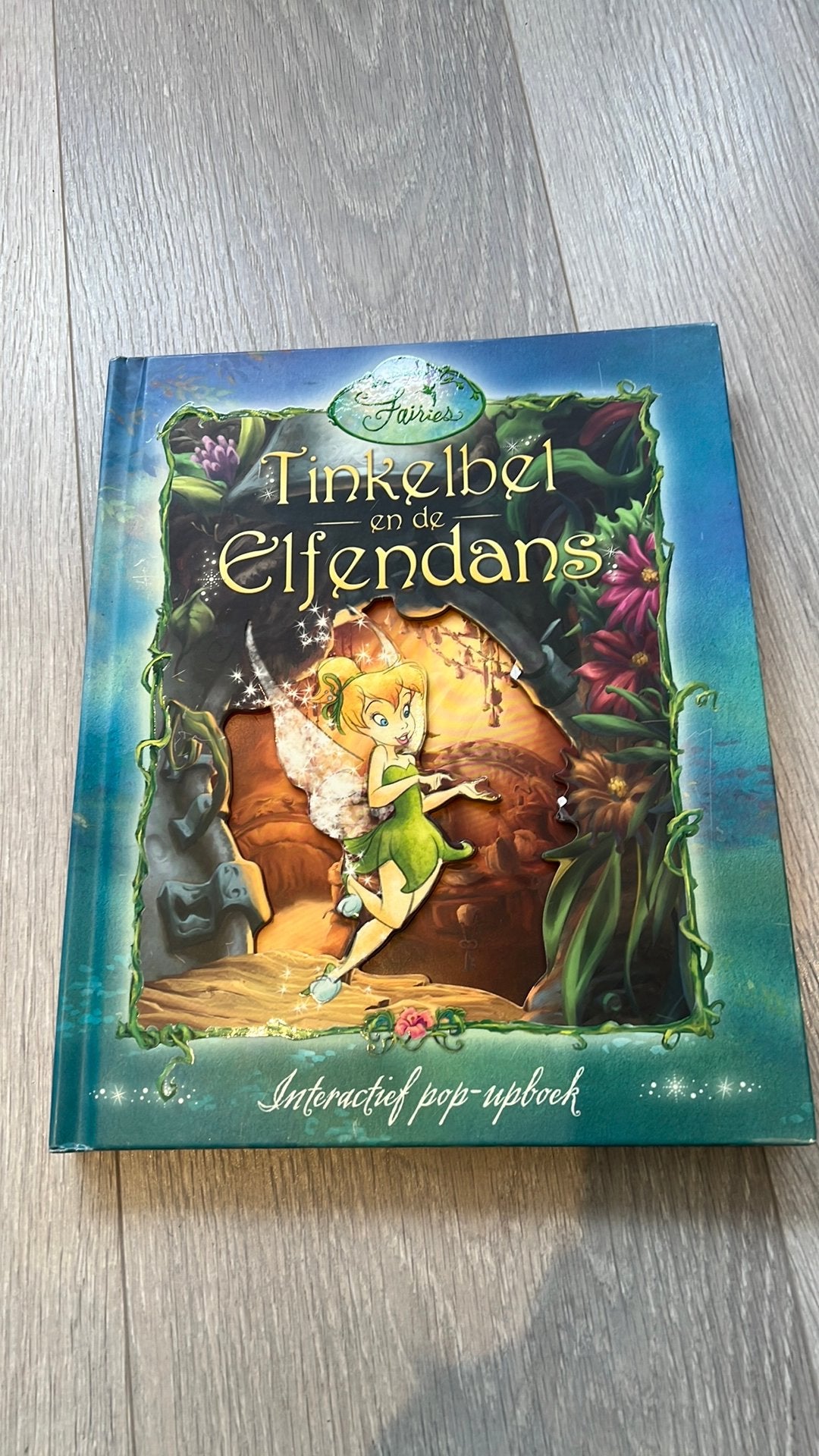 Tinkelbel en de elfendans, Boeken, Ophalen, Zo goed als nieuw