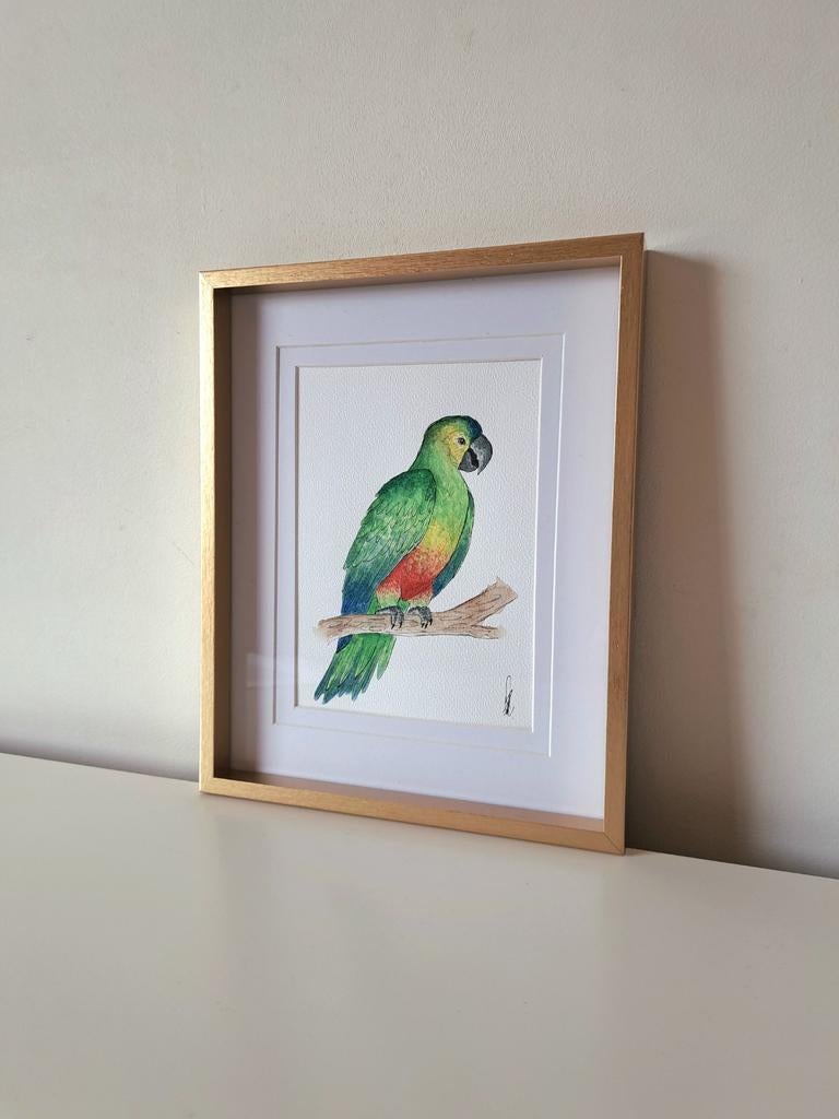 Aquarel schilderij Papegaai | Origineel in lijst, Minder dan 50 cm, Nieuw, Ophalen of Verzenden, Minder dan 50 cm