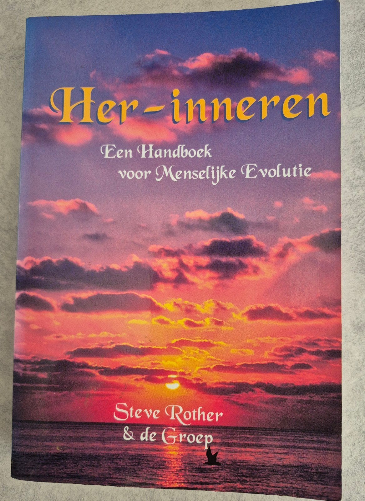 Steven Rother - Herinneren, Achtergrond en Informatie, Spiritualiteit algemeen, Ophalen of Verzenden, Zo goed als nieuw
