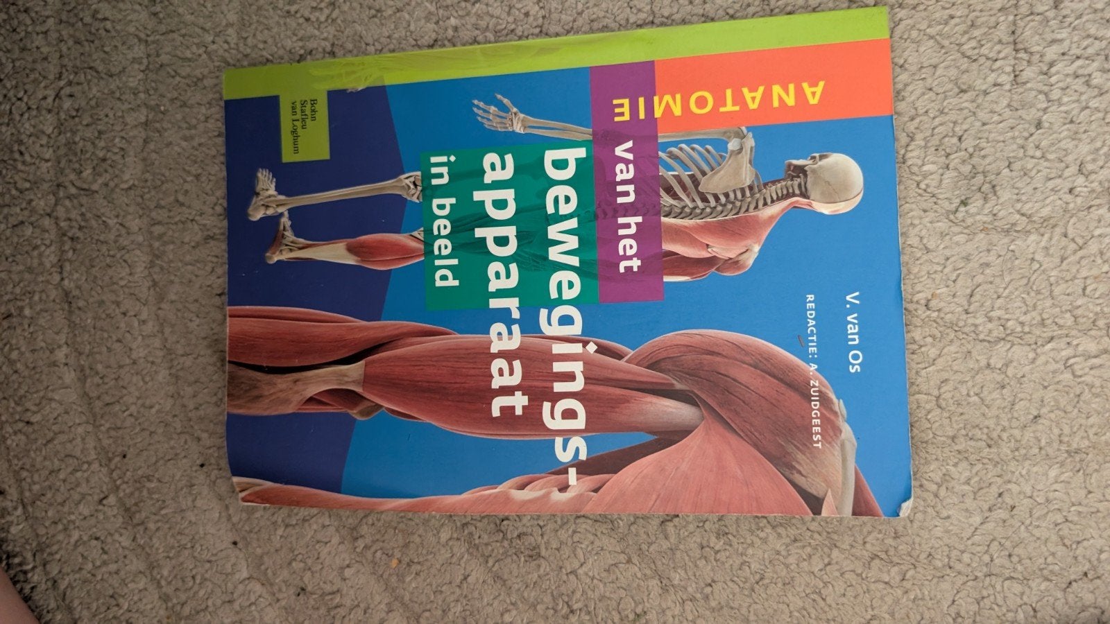 Anatomie van het bewegingsapparaat in beeld, Boeken, Gelezen, V. van Os, Beta, HBO