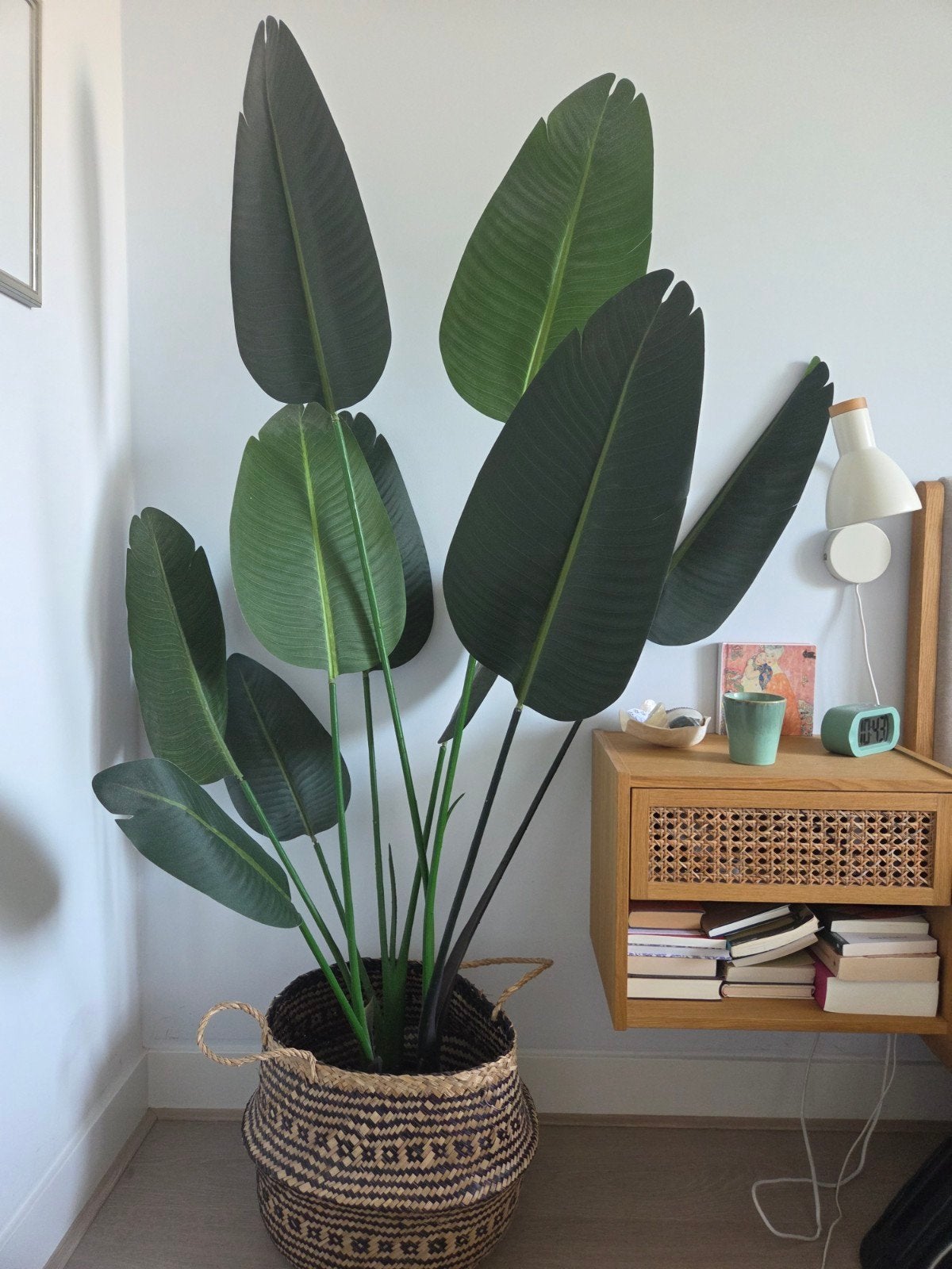Strelitzia kunstplant XL, Huis en Inrichting, Ophalen, Halfschaduw, 150 tot 200 cm