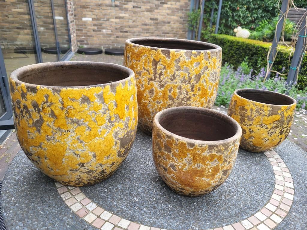 Intratuin - sierpotten voor planten binnen, Huis en Inrichting, Kamerplanten, Ophalen of Verzenden, Halfschaduw, Minder dan 100 cm