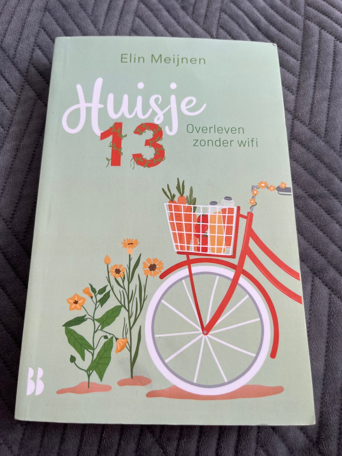 Huisje 13: Overleven zonder wifi - Elin Meijnen, Ophalen of Verzenden, Zo goed als nieuw, Nederland