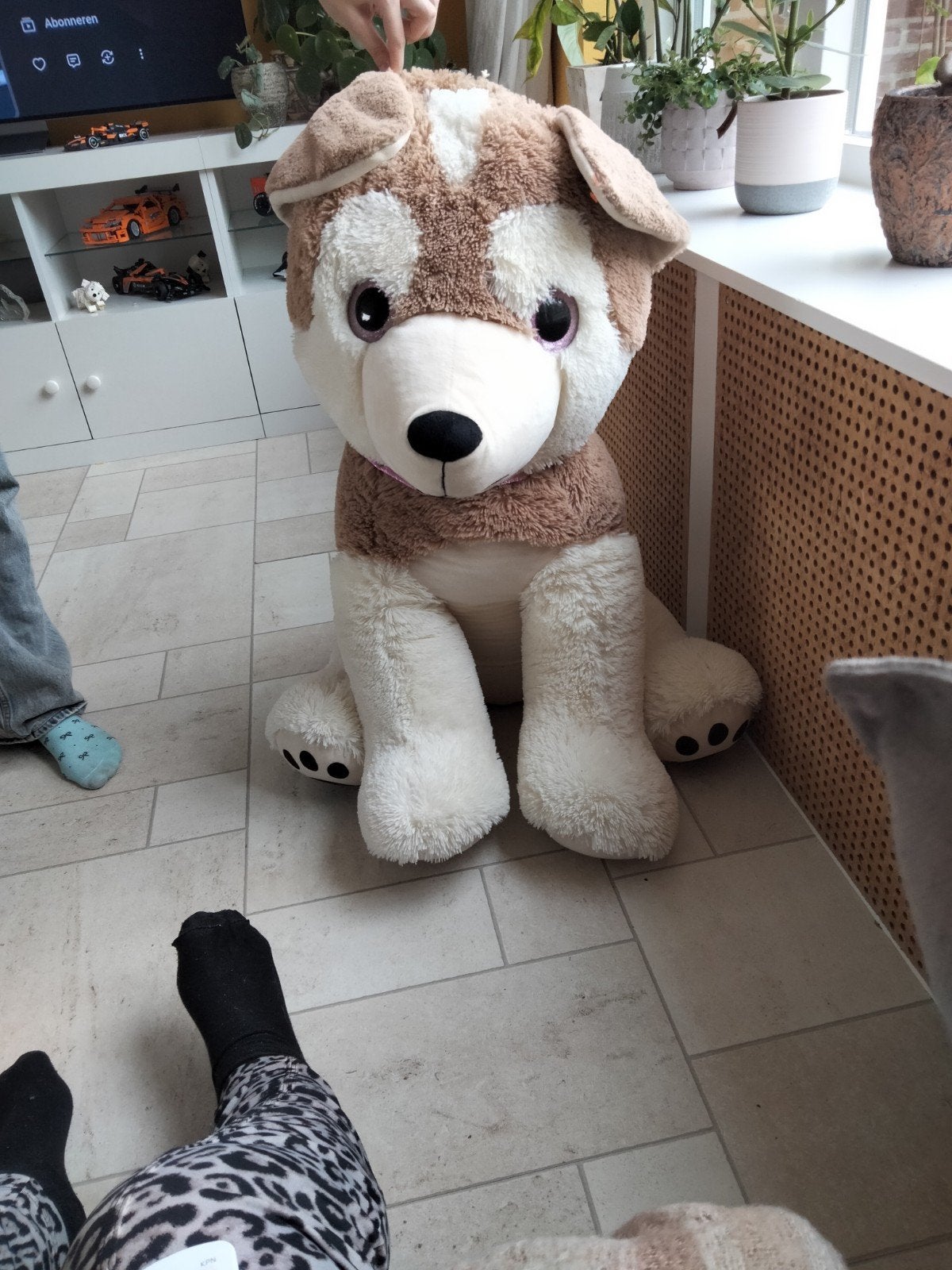 hele grote knuffel, Ophalen of Verzenden, Zo goed als nieuw, Hond