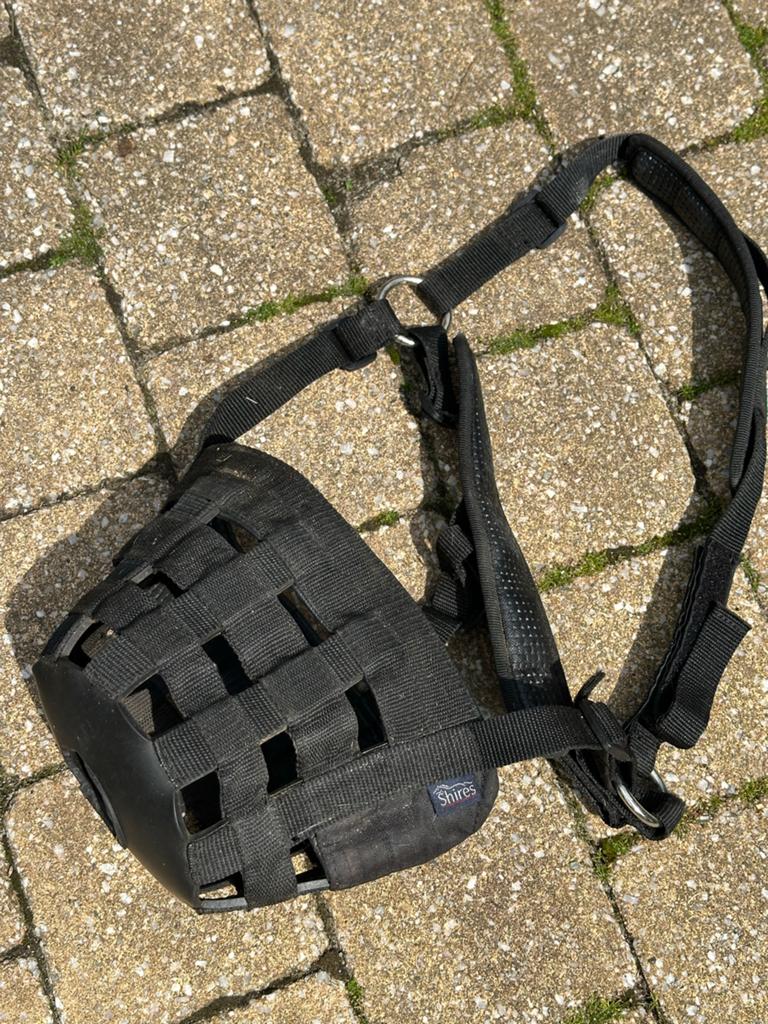 Shires Graasmasker cob, Ophalen of Verzenden, Overige soorten