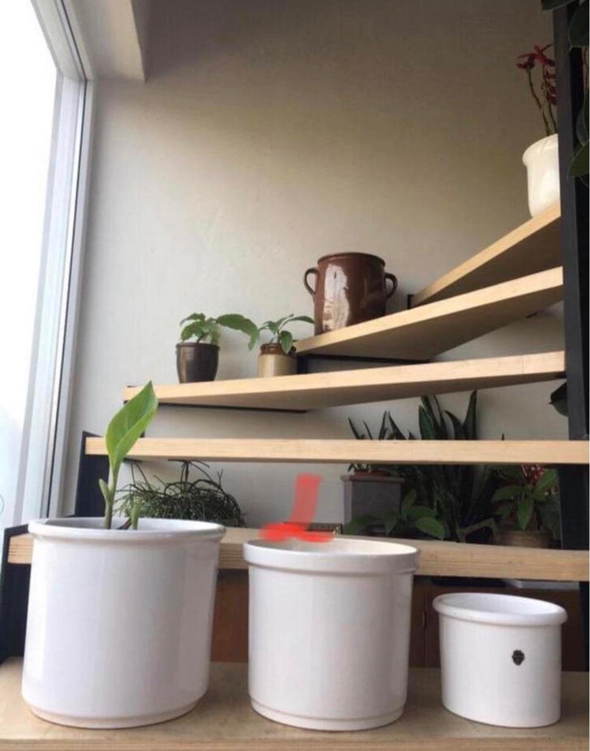 Delfts witte Vintage unieke luxe bloempotten diverse maten, Ophalen, Gebruikt, Rond, Binnen