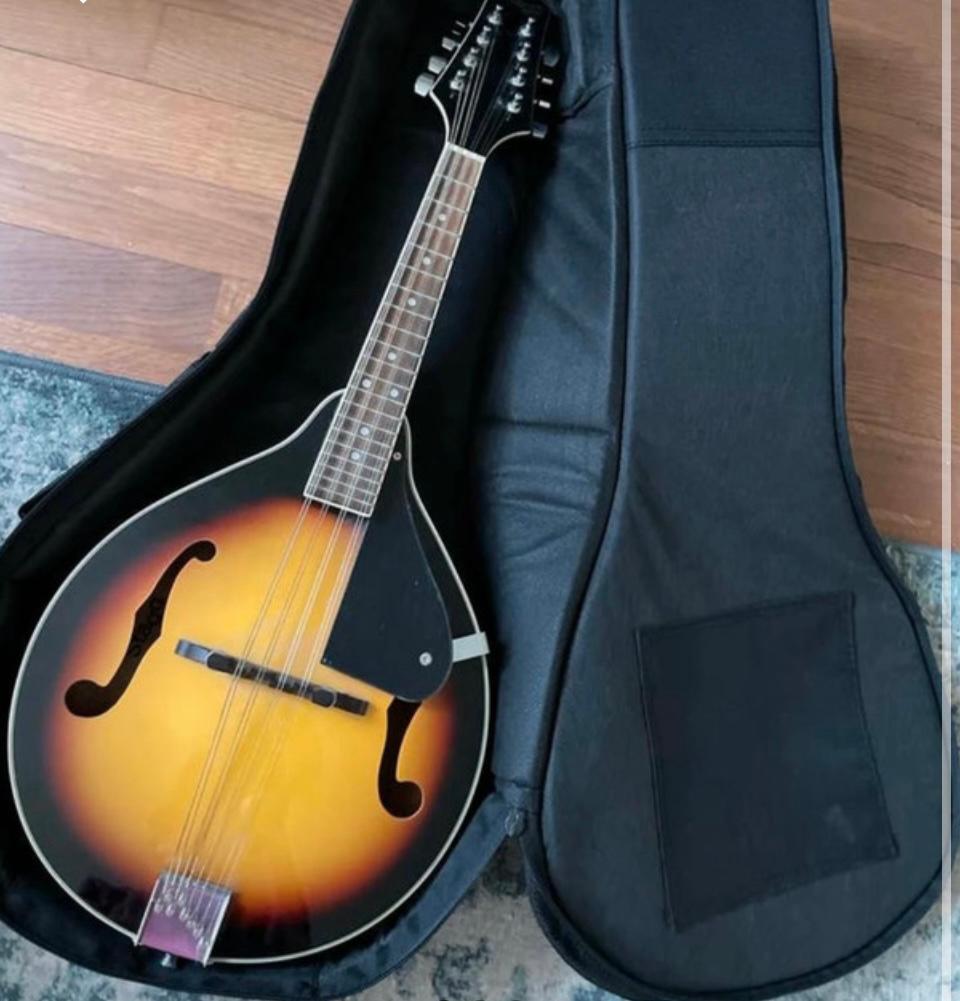 Mandoline, Muziek en Instrumenten, Snaarinstrumenten | Mandolines, Ophalen of Verzenden, Zo goed als nieuw