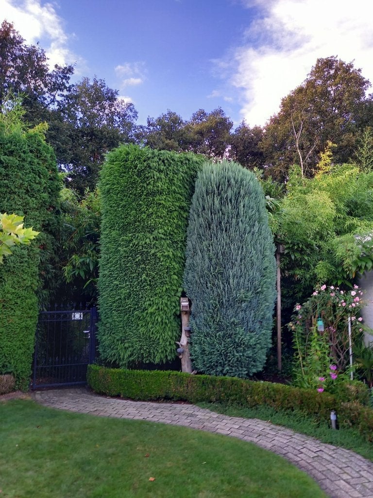 Tuinman voor onderhoud, Garantie, Tuinontwerp