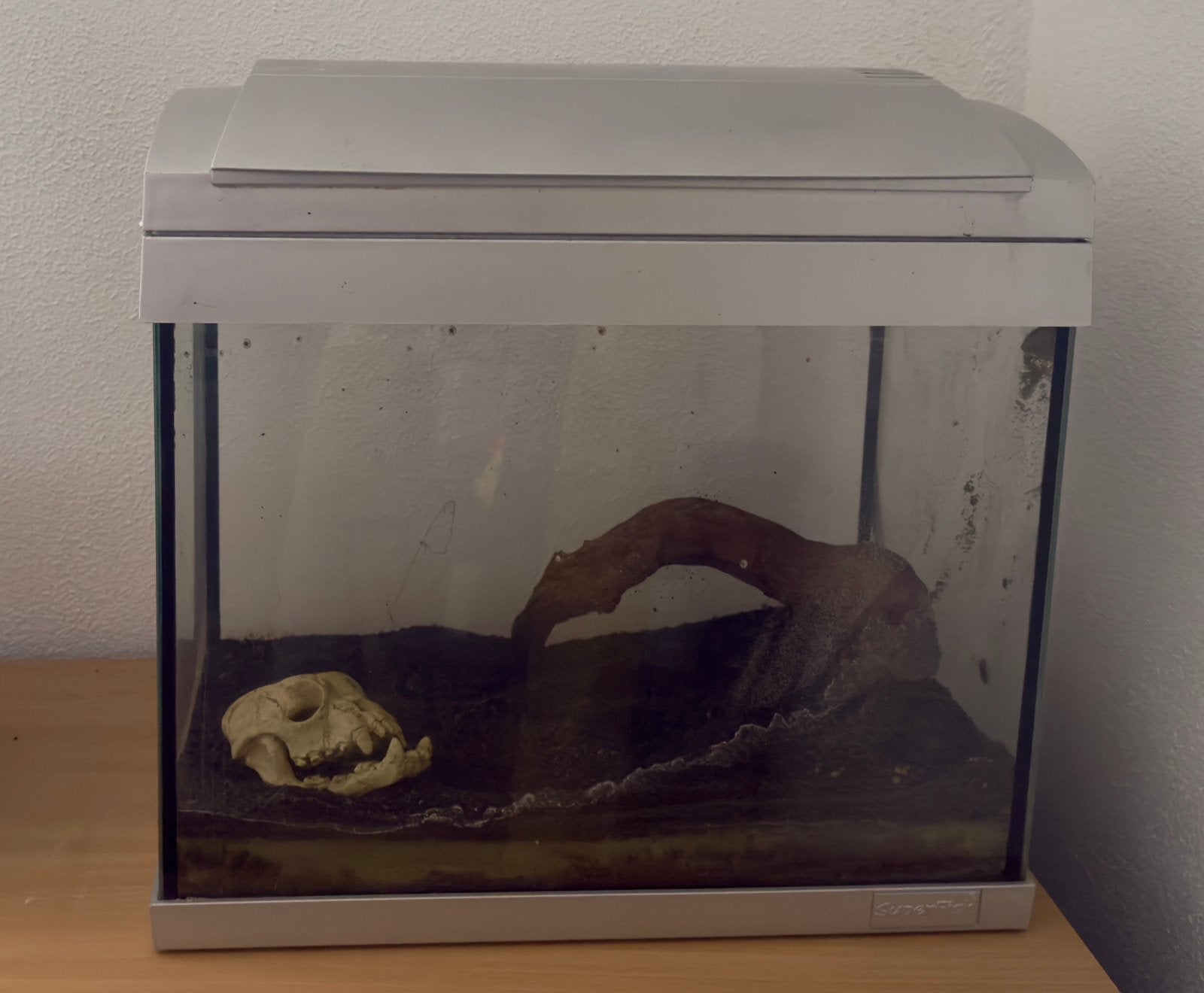 Aquarium met veel extra’s, Dieren en Toebehoren, Vissen | Aquaria en Toebehoren, Ophalen, Leeg aquarium
