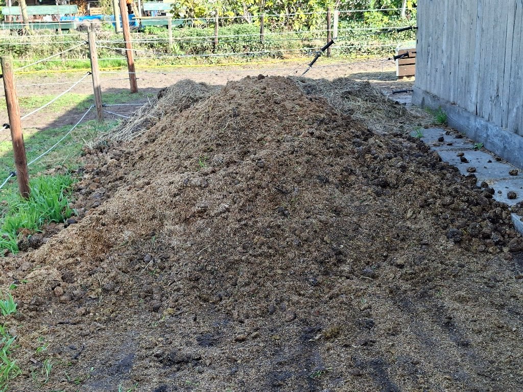 Paardenmest, Tuin en Terras, Aarde en Mest, Ophalen, Mest