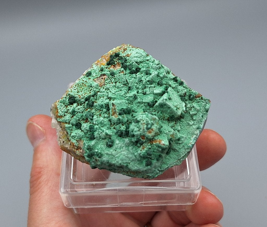 Brochantiet, Malachiet, Fluoriet - Blanchard Mine, USA, Ophalen of Verzenden, Mineraal