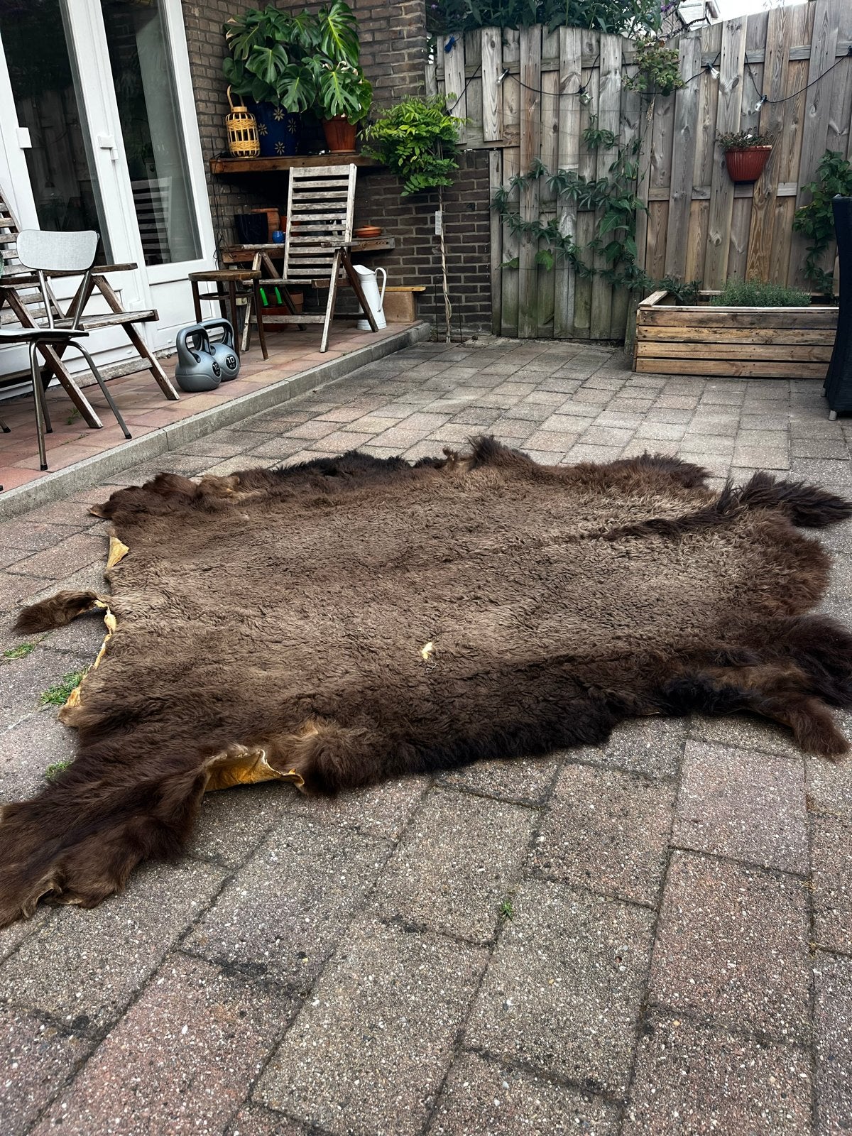 Runderkleed langharig 230x200 cm, Ophalen, Gebruikt, Bruin, Rond