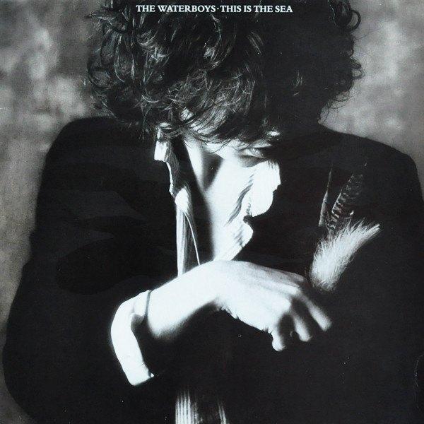CD The Waterboys - This is the sea, Ophalen, Gebruikt