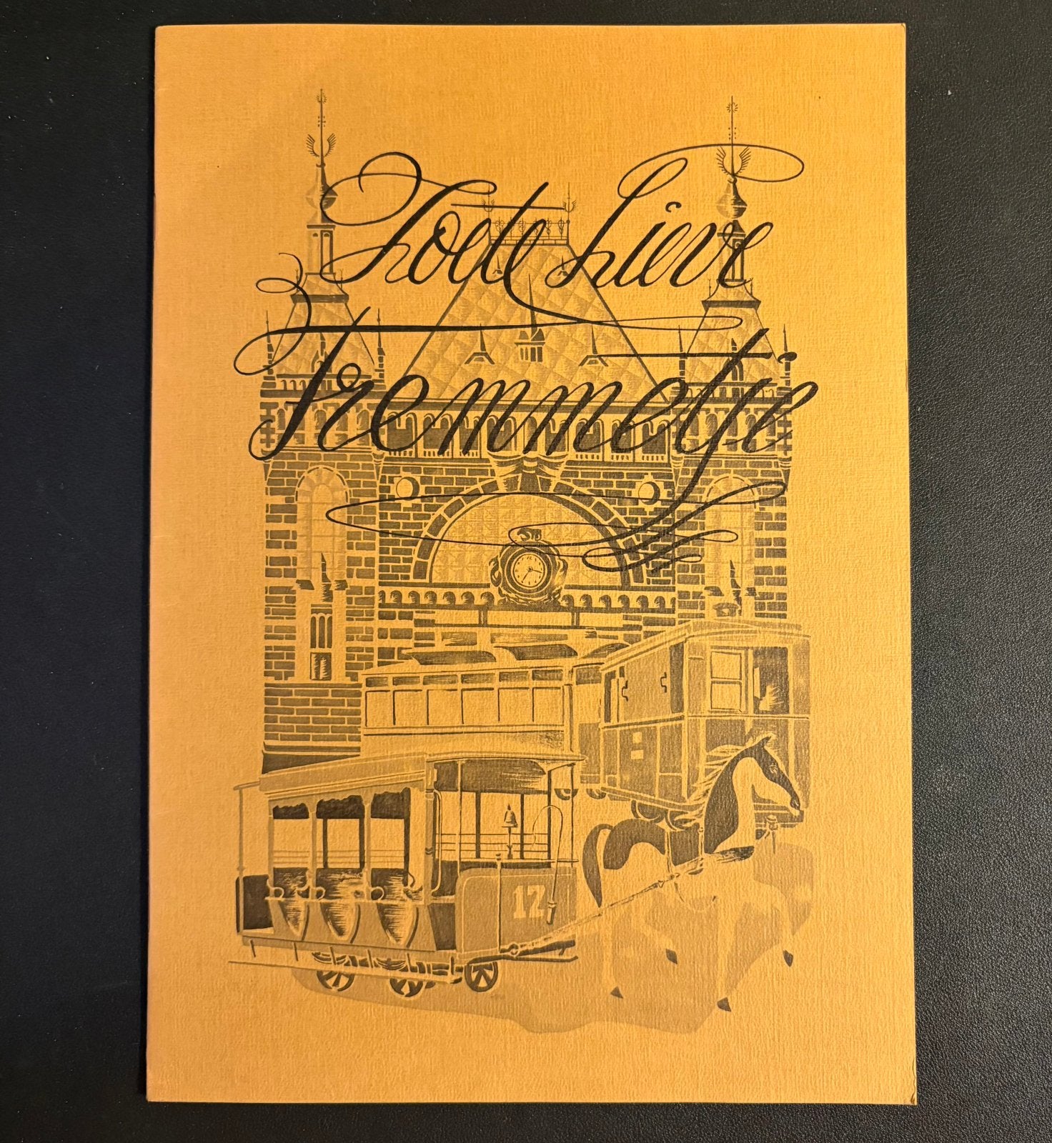 De geschiedenis van het OV in Den Bosch 1879 - 1929 (1979), Ophalen of Verzenden, Zo goed als nieuw, Tram, Boek of Tijdschrift