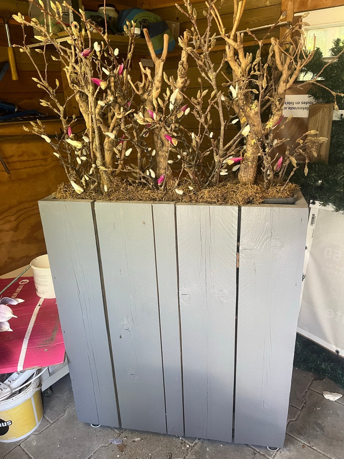 Verrijdbare plantenbak - ideaal als ruimteafscheiding, Ophalen, Gebruikt, Binnen, 60 tot 100 cm