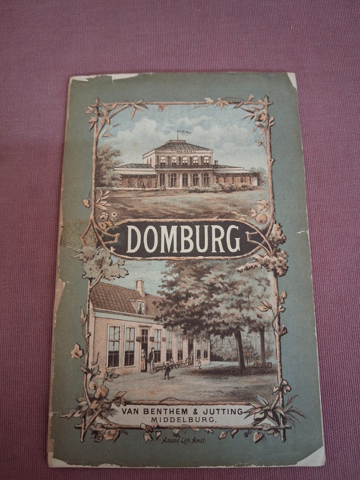 Boek Domburg 1882, Boeken, Ophalen of Verzenden, Gelezen, F.Natglas