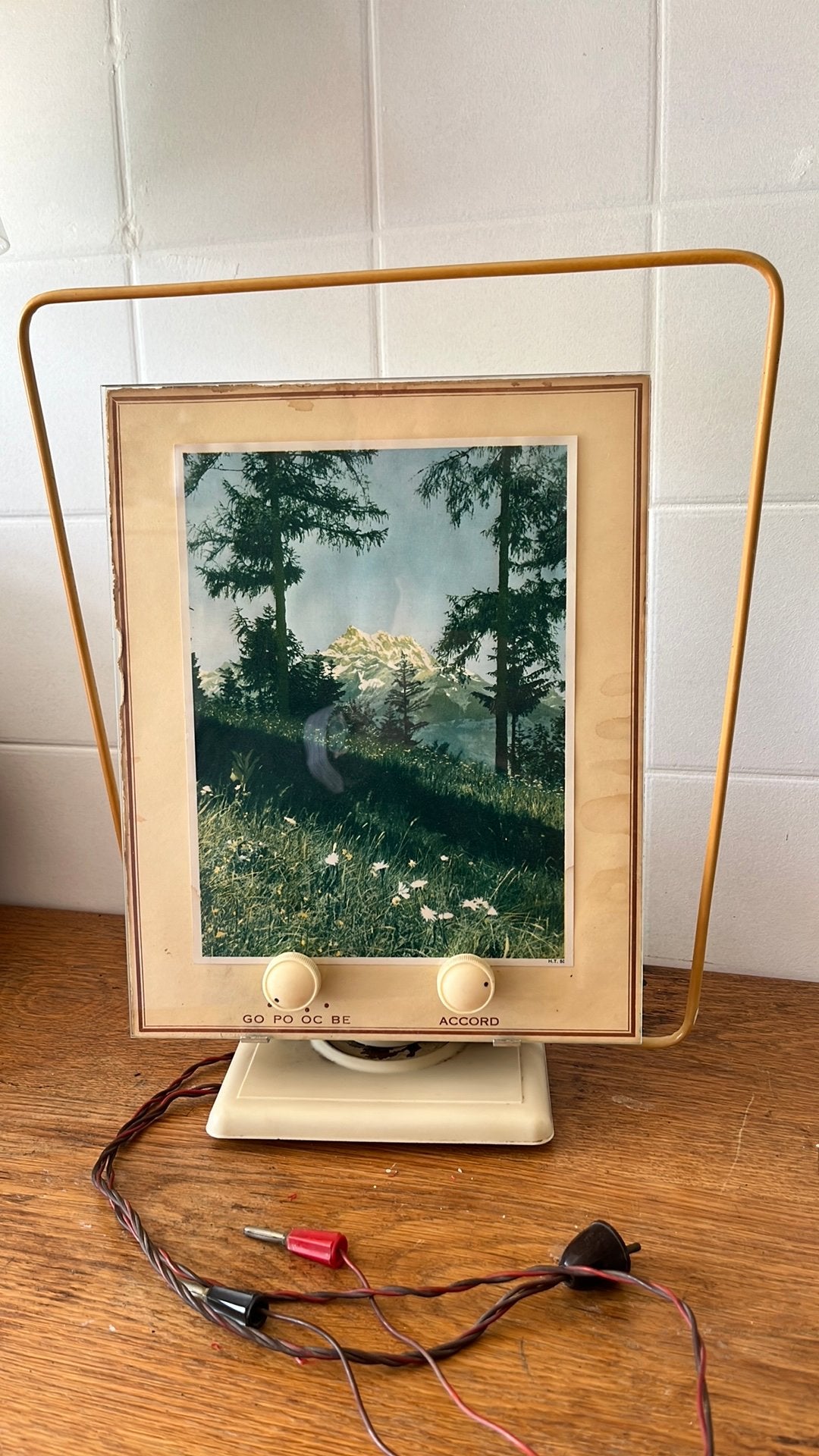 Franse raamantenne, merk REX, Ophalen, Gebruikt, Minder dan 50 cm