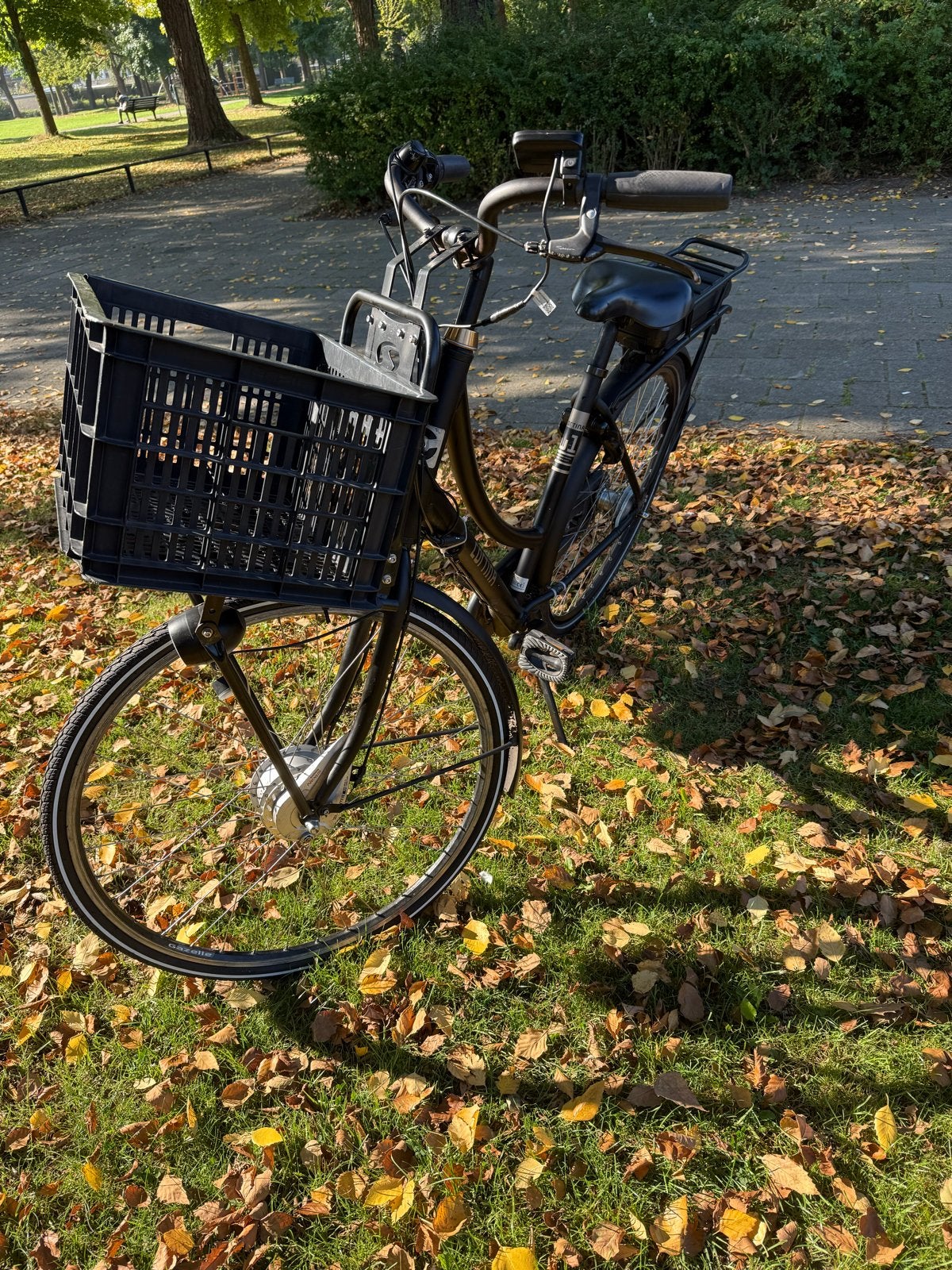 Cortina Damesfiets 28 inch met voordrager en mand, Versnellingen, Ophalen of Verzenden, Trommelrem, 53 tot 56 cm