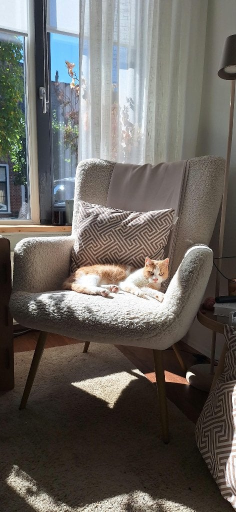 Comfortabele fauteuil met teddy stof, Huis en Inrichting, Ophalen, Hout, Gebruikt, Modern, Scandinavisch