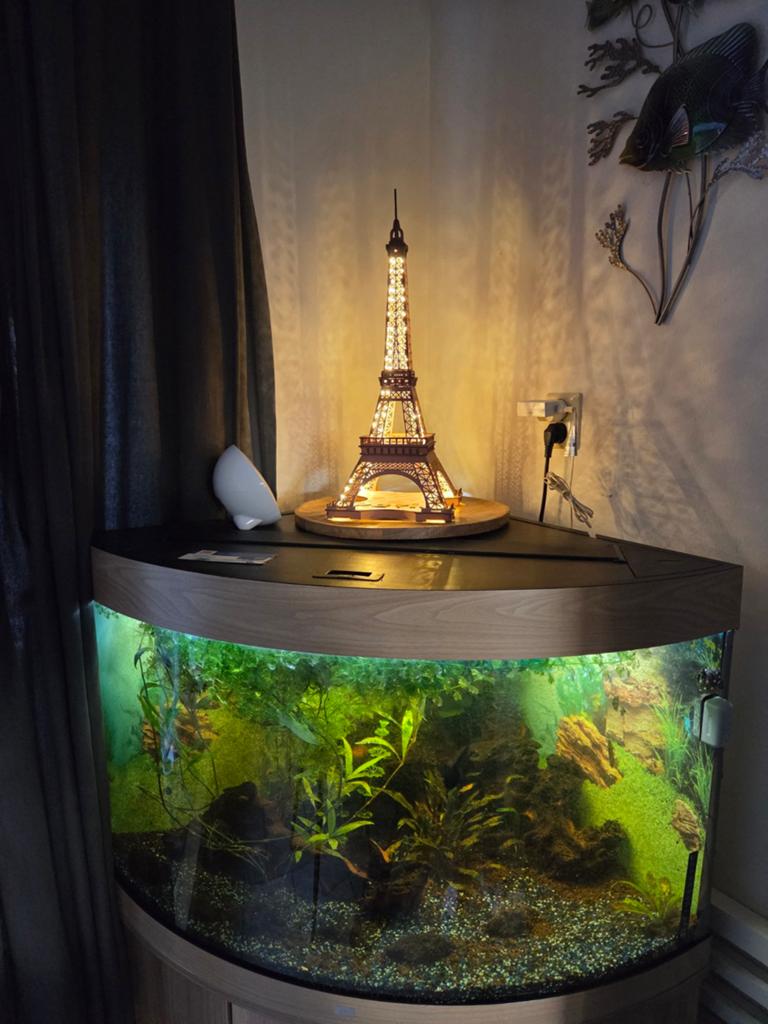 Juwel Aquarium 190 l, Vis, Zoetwatervis