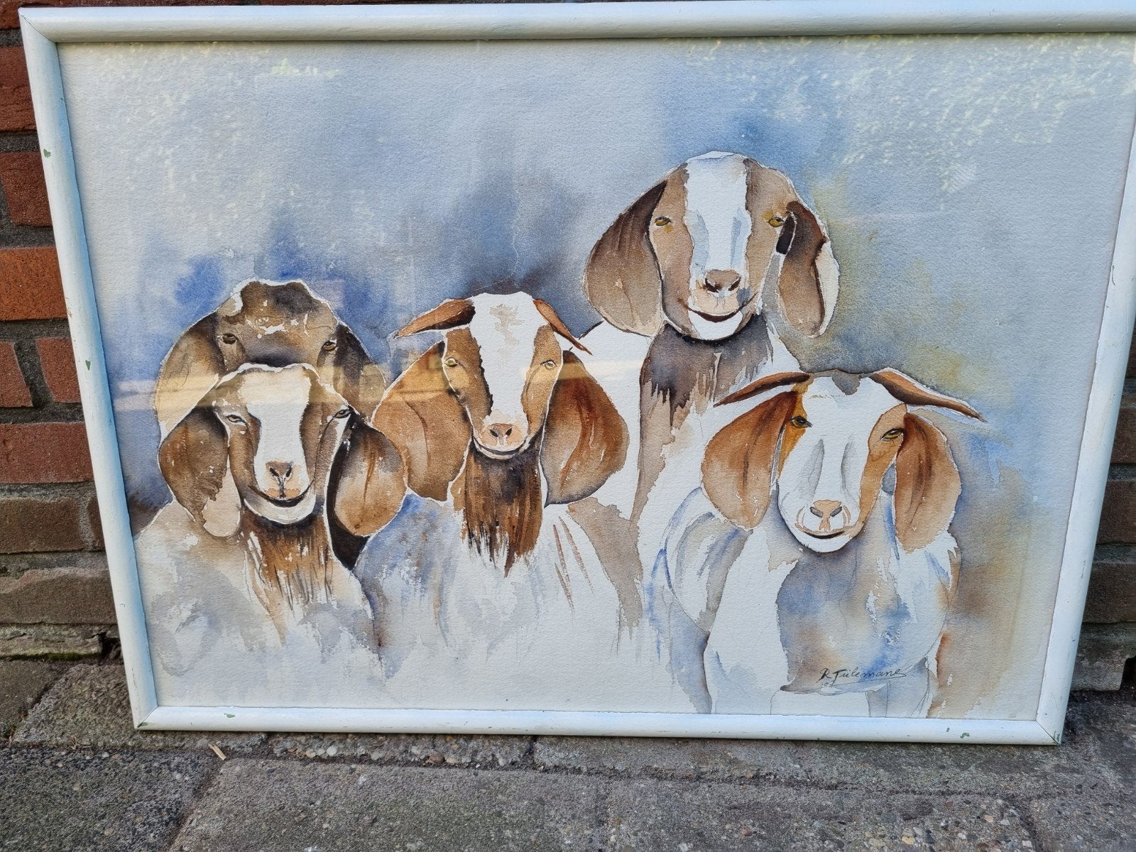 R Tielemans, geiten, Ophalen