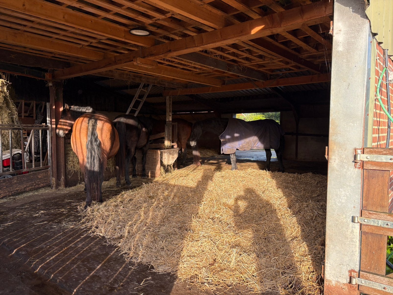 (Gepensioneerd) pensionpaard gezocht, Stalling, 1 paard of pony