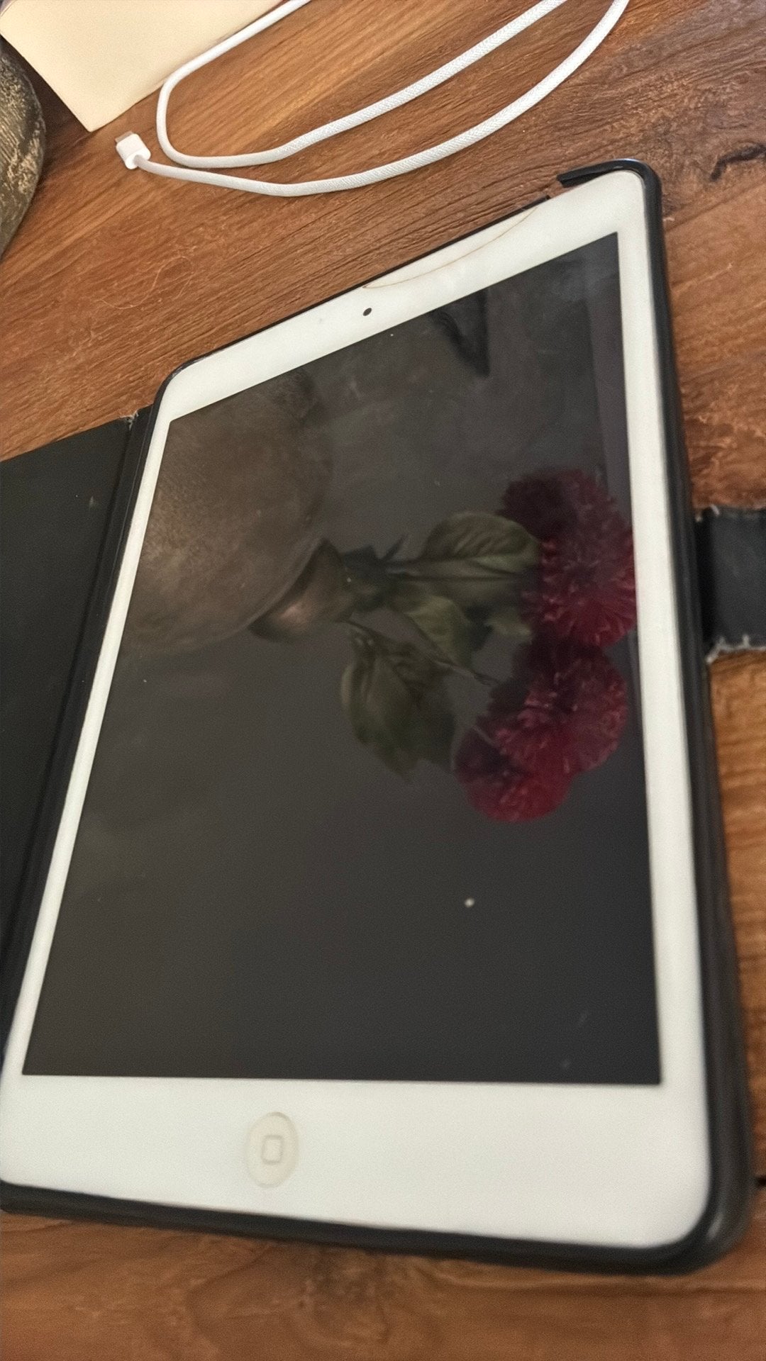 Apple Ipad 2 mini