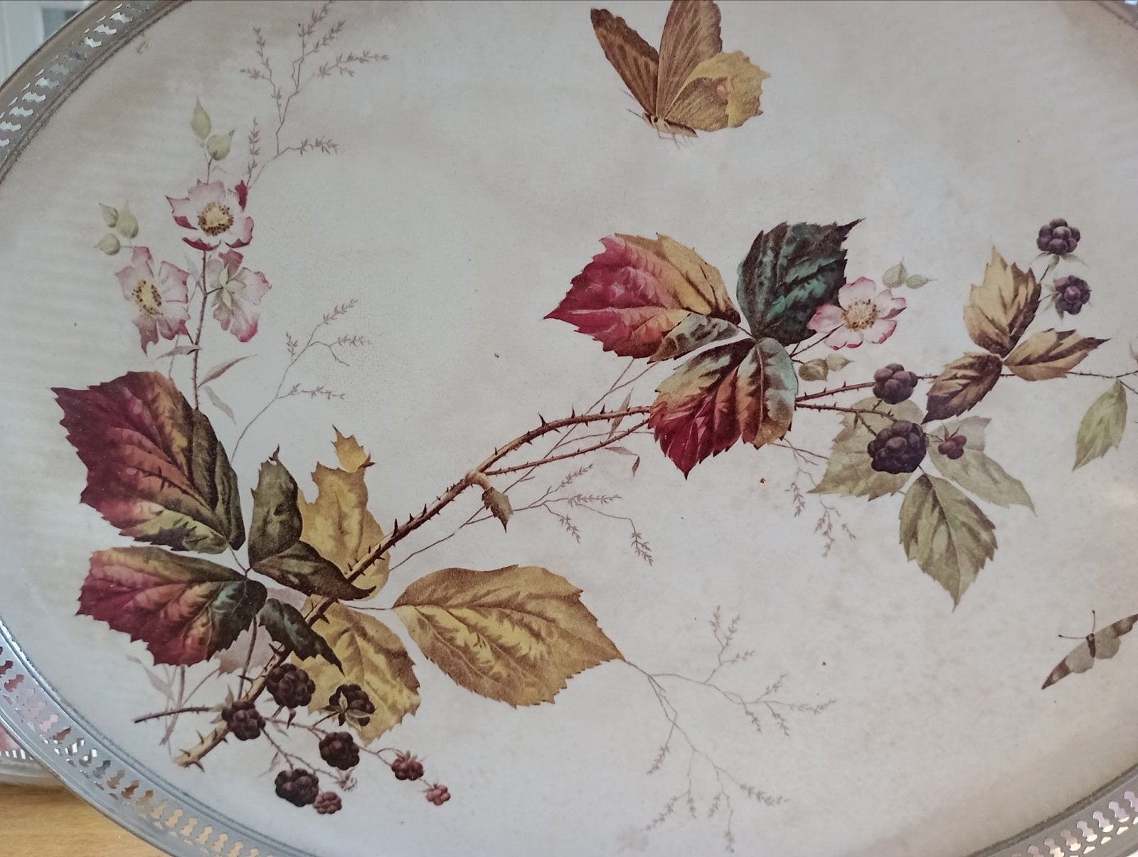 Vintage dienblad met bessen en vlinders, Ophalen