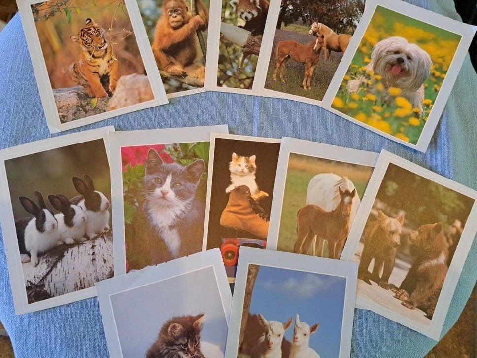 12 Ansicht kaarten met dieren plaatjes., Ophalen, 1980 tot heden